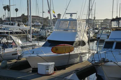 DSC_7227 (Large).JPG